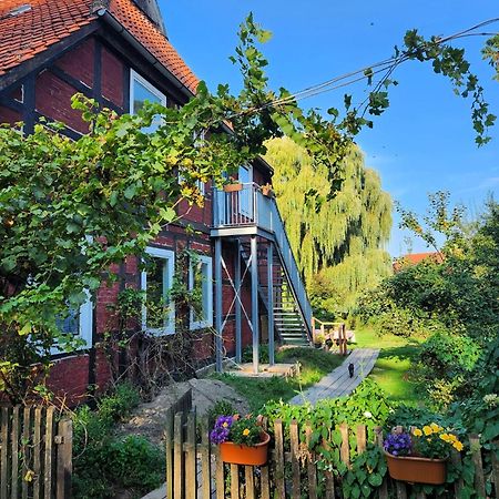 Hof Kuma Apartment Uelzen Luaran gambar
